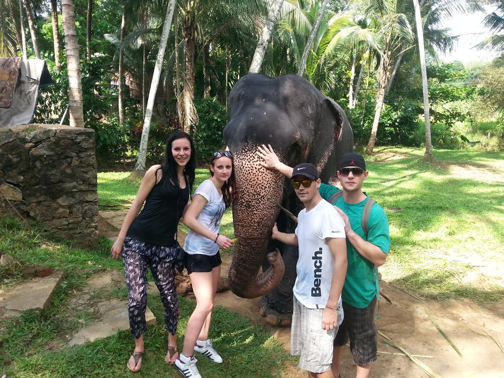 Elephant Reach Villa Pinnawalaピンナワラ エクステリア 写真